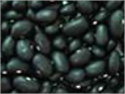 Black Beans Porotos Negros