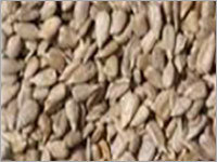 Organic Sunflower Seeds