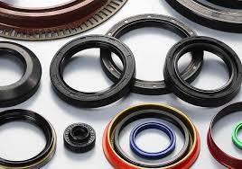 O Ring & Oil Seals