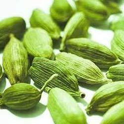 Cardamom Oil