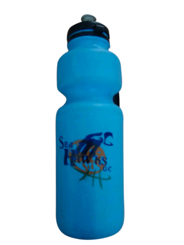 Sea Hawks Water Bottle Blue