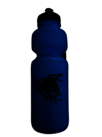 Sea Hawks Water Bottle Blue