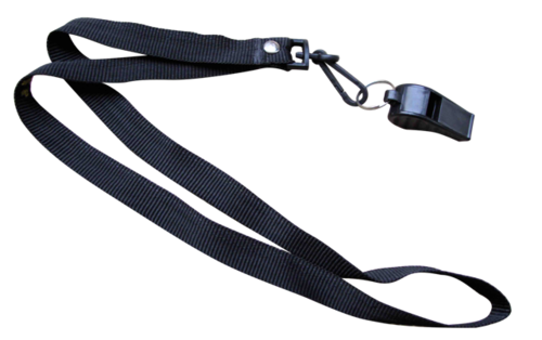 Whistle with lanyard