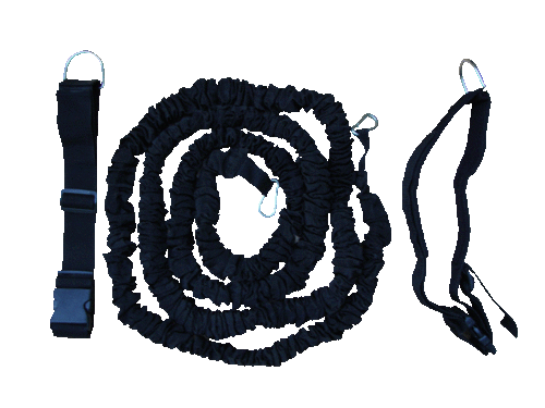 Dual Harness Bungee Silicon Belt