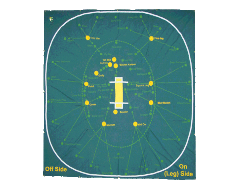 Coir Cricket Matting, Size: 66 X 8 Feet at Rs 14300/piece in Jalandhar