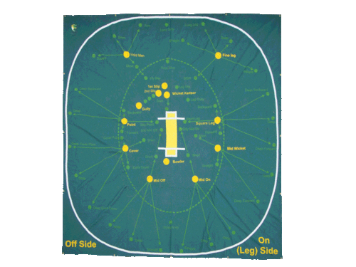 Cricket Coaches Mat