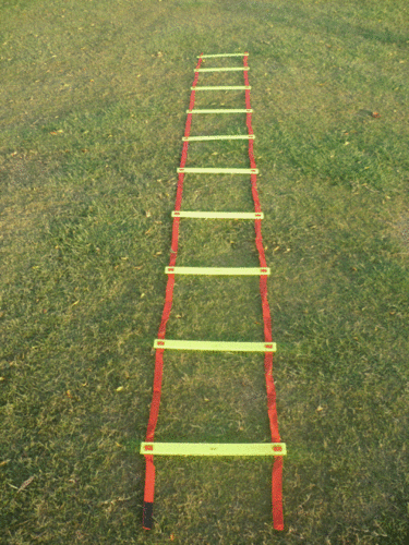 Rectangle Adjustable Flat Agility Ladder