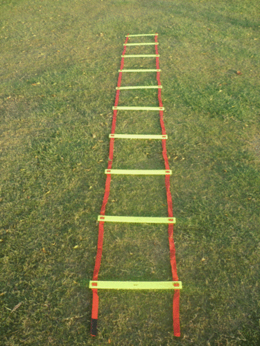 Adjustable Flat Agility Ladder
