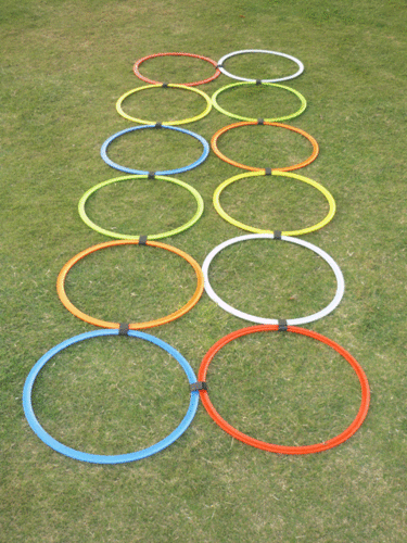 Flat Ring Ladder