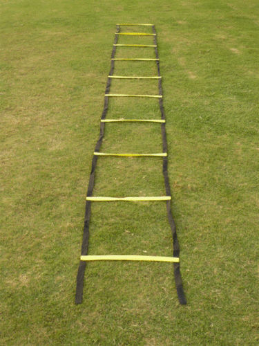 Rectangle Eco Ladder