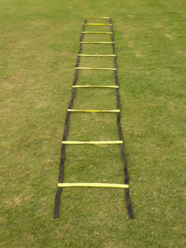 Eco Ladder