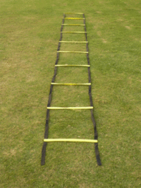 Eco Ladder