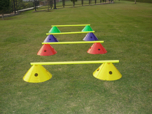 Mega Cone Ladder