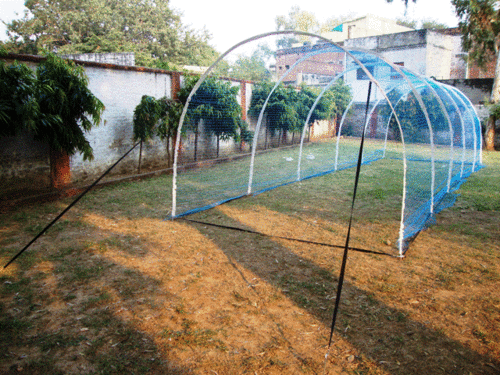 Cricket Practice Tunnel Net