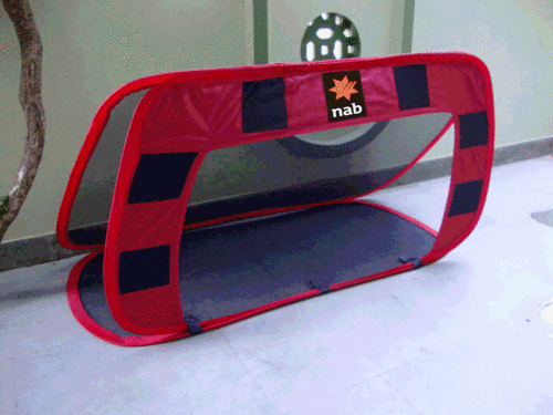 Mini Collapsible Training Pugg Goal