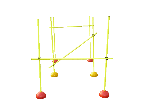 Multi Dome Trainer