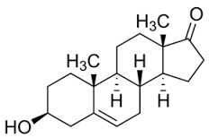 Dehydroepiandrosterone (DHEA) solution