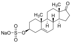 Dehydroepiandrosterone 3-sulfate (DHEAS) sodium salt solution