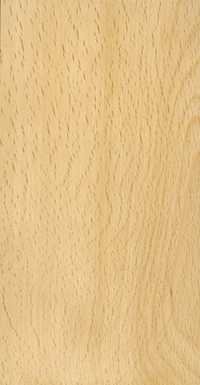 Beach Wood