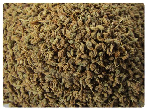 Indian Ajwain Seeds Indian Ajwain Seeds