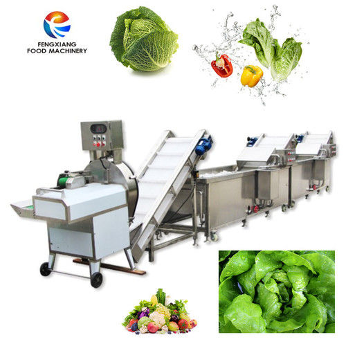 Leaf vegetable washing cutting line