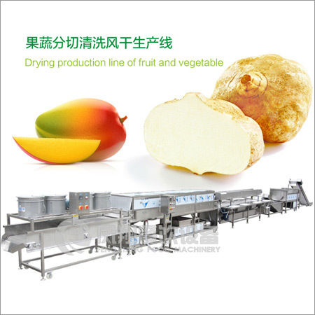 Fruit and Vegetable Drying Production Line