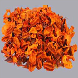 Pot Pourrie Mix Color