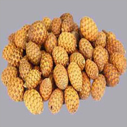 Cane Fruit