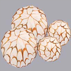 Sola Chips Ball