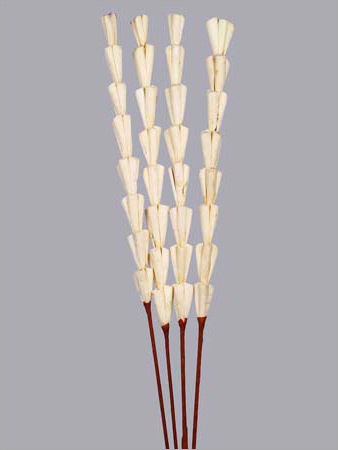 Sola Rajani Stick
