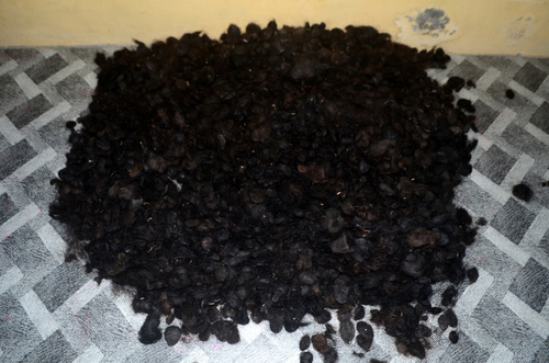 Human Hair Balls