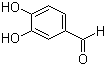 3,4-Dihydroxybenzaldehyde Cas No: 139-85-5