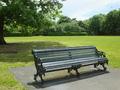 Park Benches
