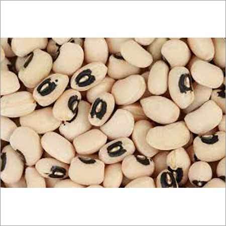 Blackeye Cowpea Seeds