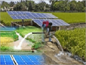 Solar Powered Water Pump - Stainless Steel, 10-50 L/min Flow Rate, 5-20m Head | Eco-Friendly, Cost Effective, Remote Use, Centrifugal Pump