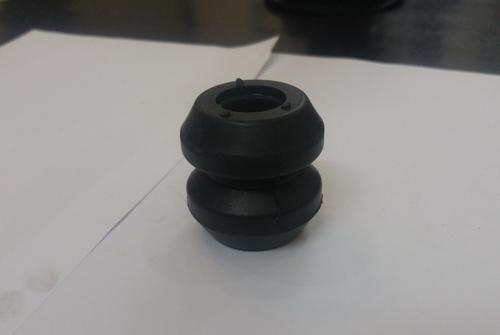 Rubber Bush