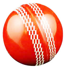 PVC Cricket Training Ball