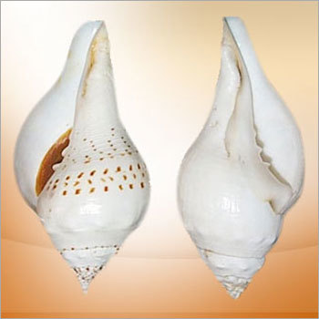 Laxmi Narayan Shankh