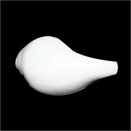 Shankh and Shaligram