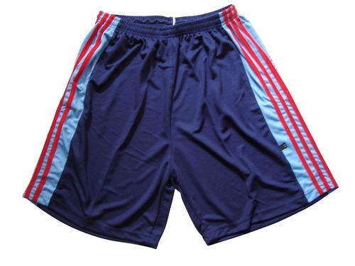 Basketball Shorts Nirmal Jali