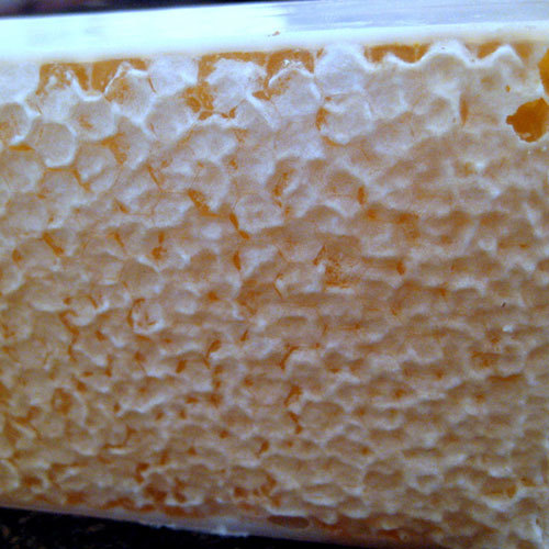 Pure Comb Honey