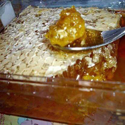 Eucaliptus Honey