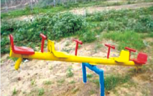 Multi-Seater Sea-Saw