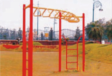 Army Ladder Climber