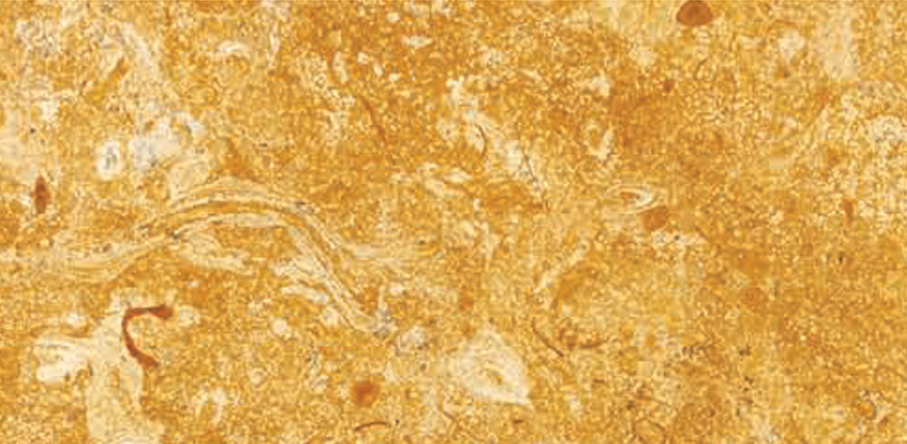 Golden Flower Sandstone By RADHAMADHAV MARBLES PVT. LTD.