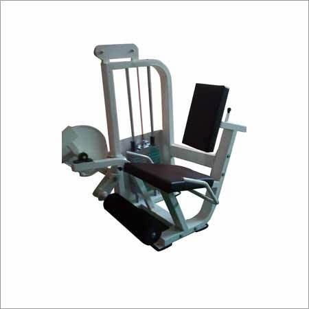 Leg Extension