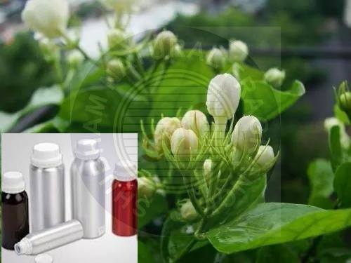 Jasmine Sambac - Chemical Name: Herbal Extract