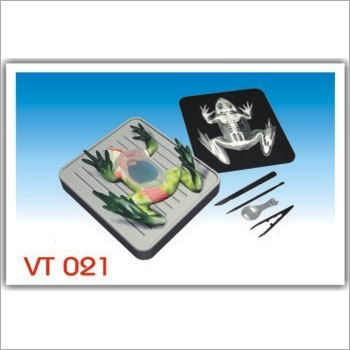 Simulated Frog Dissecting kit (VT021)