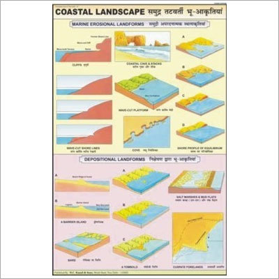 Coastal Landscape Chart