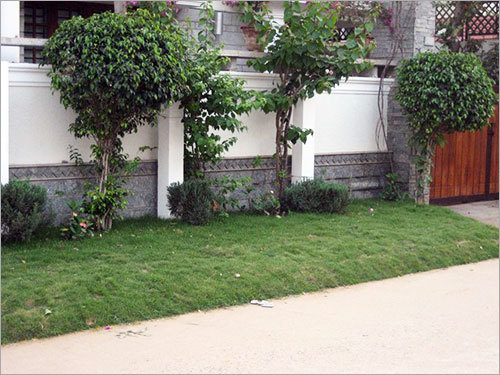 Residential Outdoor Landscaping Services
